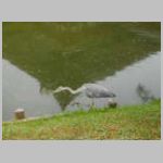 DSCN1471.JPG