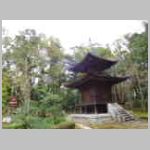 DSCN0709.JPG