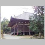 IMGP4211.JPG
