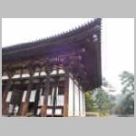 DSCN0098.JPG