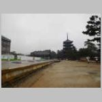 DSCN0116.JPG