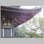 DSCN0202.JPG