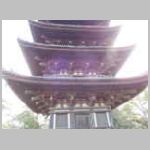 DSCN0203.JPG