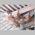 DSCN0927.JPG