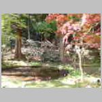DSCN0980.JPG