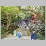 DSCN0982.JPG