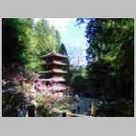 DSCN1034.JPG
