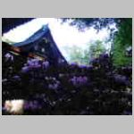 DSCN1036.JPG