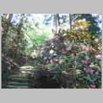 DSCN1039.JPG