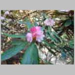 DSCN1040.JPG