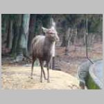 DSCN0187.JPG