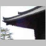 DSCN0343.JPG