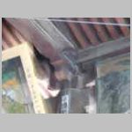 DSCN1067.JPG
