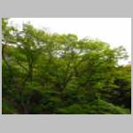 DSCN1090.JPG
