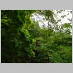 DSCN1092.JPG