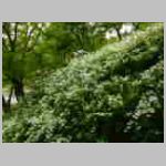 DSCN1095.JPG