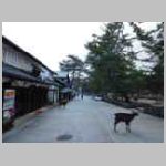 DSCN0210.JPG