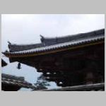 DSCN0333.JPG
