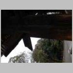 DSCN0392.JPG