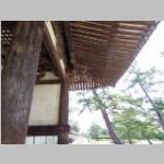IMGP2485.JPG
