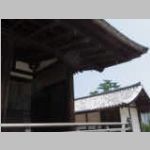 IMGP2564.JPG