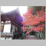 DSCN2076.JPG