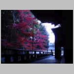 DSCN2082.JPG