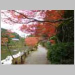 DSCN2156.JPG