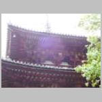 DSCN1179.JPG