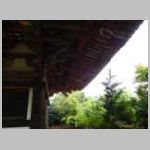 DSCN1181.JPG