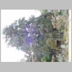 DSCN0576.JPG