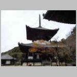 DSCN0454.JPG