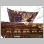 DSCN0455.JPG