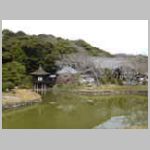 DSCN0480.JPG