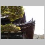 DSCN0493.JPG
