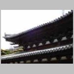 DSCN0499.JPG