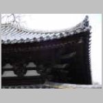 DSCN0501.JPG