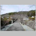 DSCN0520.JPG