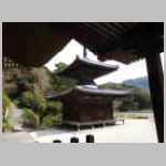 DSCN0528.JPG