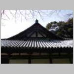 DSCN0534.JPG