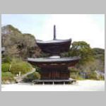 DSCN0540.JPG