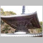 DSCN0542.JPG
