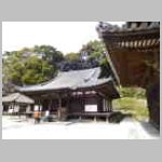 DSCN0554.JPG
