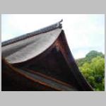 DSCN1429.JPG