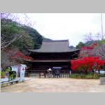 IMGP0814.JPG