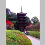 IMGP0822.JPG