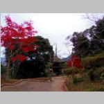 IMGP0829.JPG