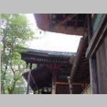 IMGP3240.JPG
