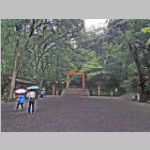 IMGP3306.JPG