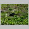 DSCN8349.JPG